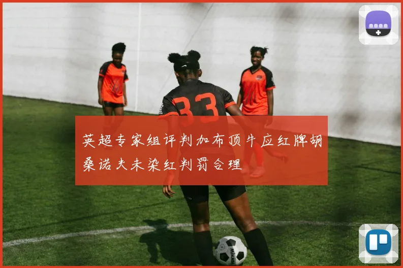 英超专家组评判加布顶牛应红牌胡桑诺夫未染红判罚合理